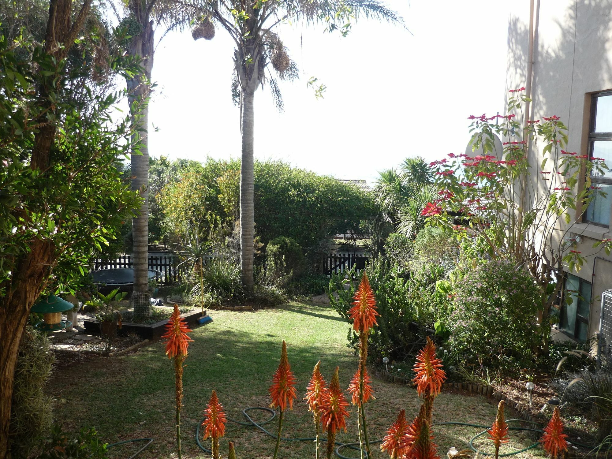 A1 Kynaston Self Catering Or Bed And Breakfast Jeffreys Bay Extérieur photo