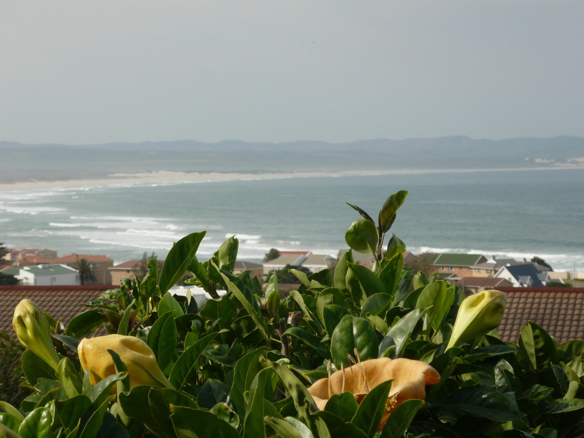 A1 Kynaston Self Catering Or Bed And Breakfast Jeffreys Bay Extérieur photo