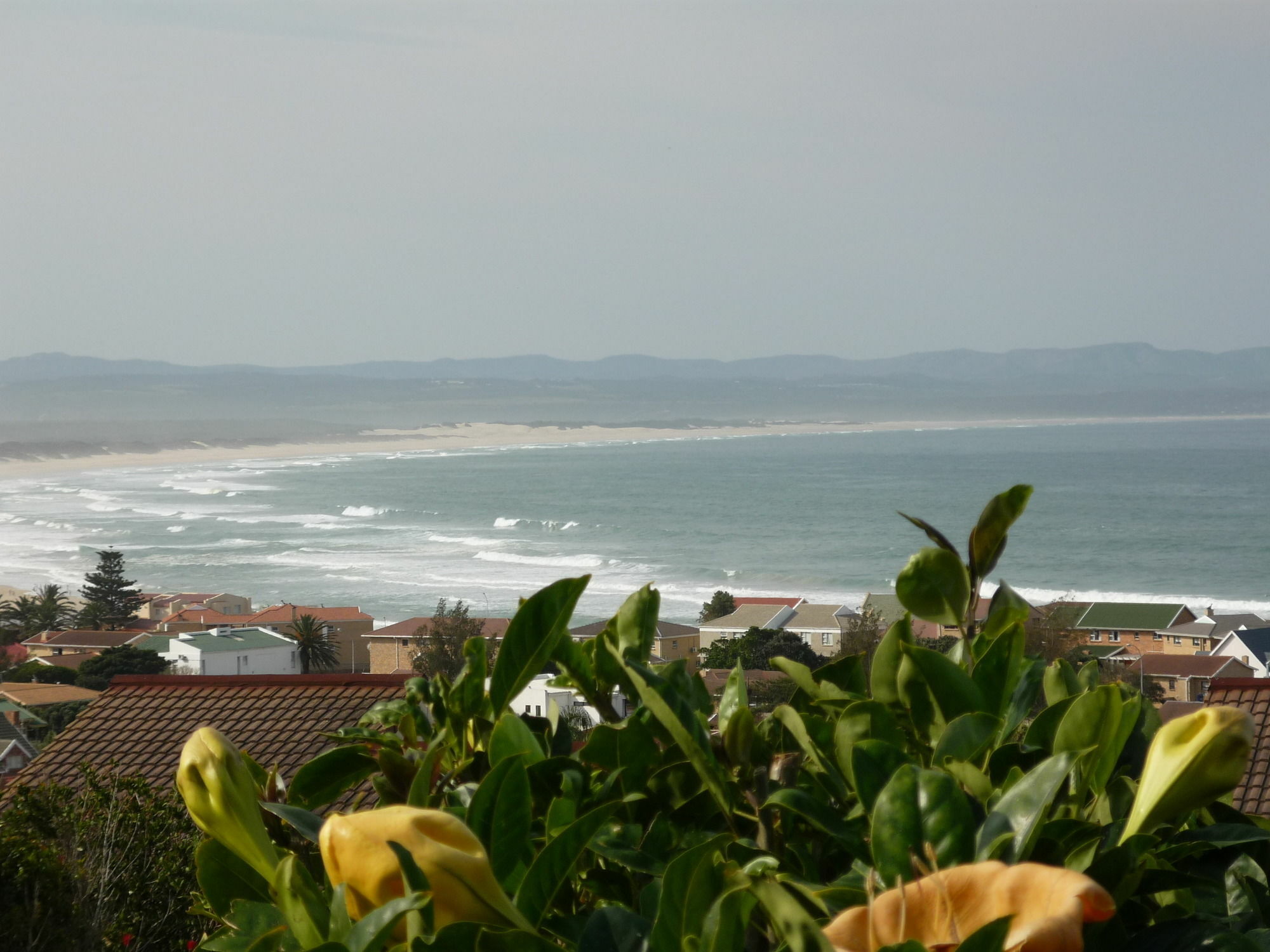 A1 Kynaston Self Catering Or Bed And Breakfast Jeffreys Bay Extérieur photo